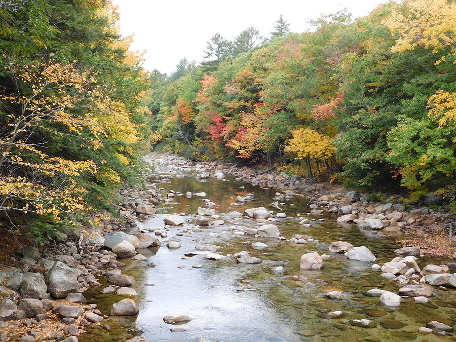 Saco River in Bartlett NH Photograph by Catherine Gagne