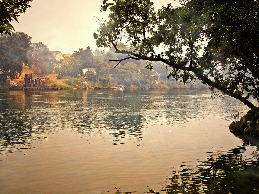 Sacramento River At Bonnyview Photograph by Joyce Dickens
