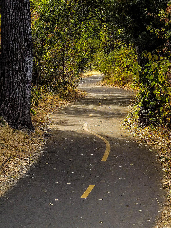 Sacramento River Trail Photograph By Reed Tim Fine Art America   Sacramento River Trail Reed Tim 