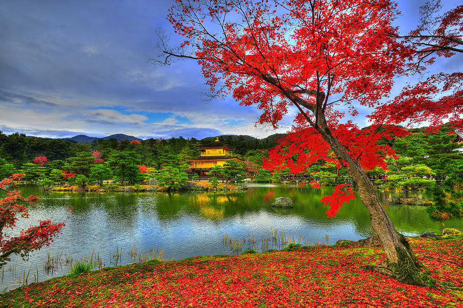 Sacred Autumn Photograph by Midori Chan