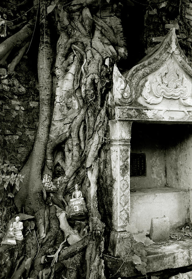 Sacred Bangkok Shrine Photograph by Shaun Higson