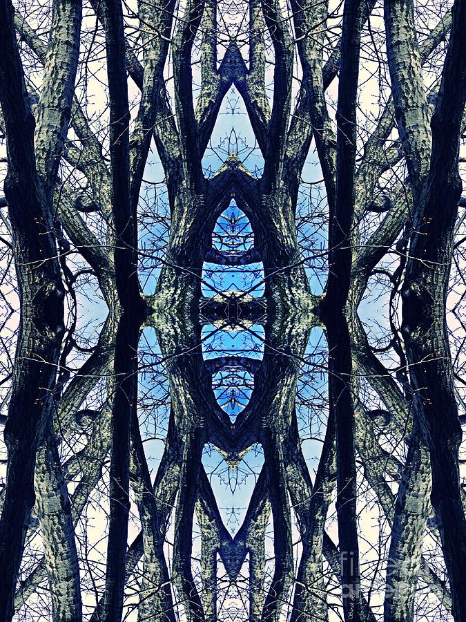 Sacred Grove 1 Digital Art by Sarah Loft