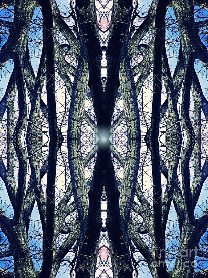 Tree Digital Art - Sacred Grove 4 by Sarah Loft