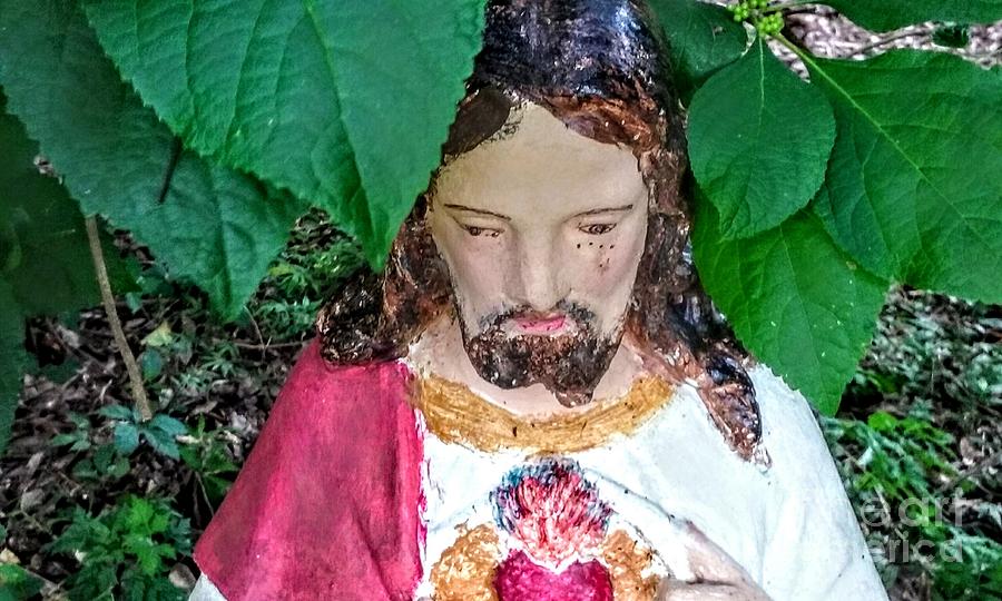 Sacred Heart Of Jesus In Garden Photograph