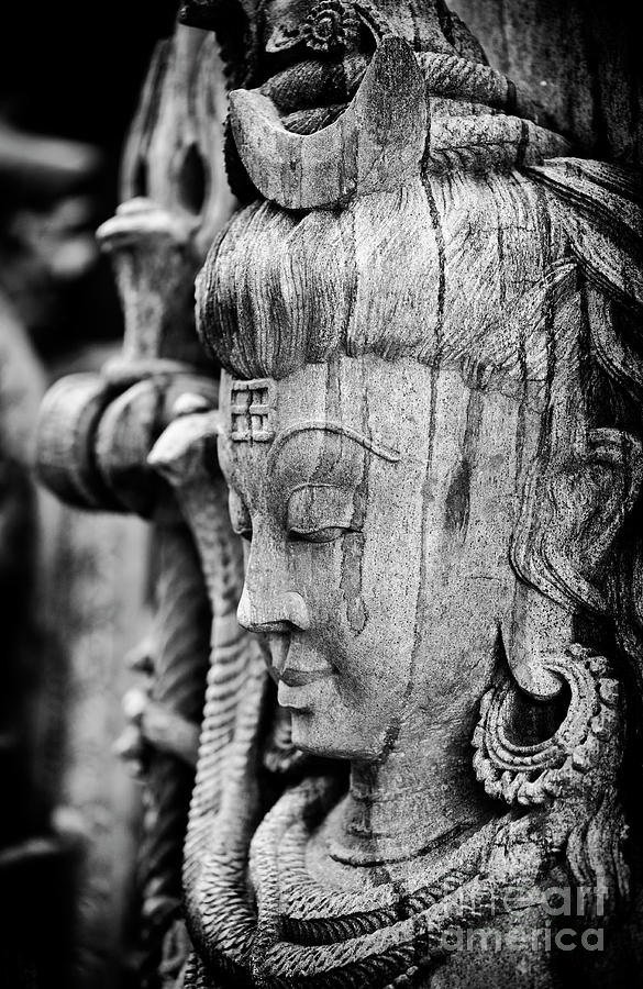 Sacred Lord Shiva Photograph by Tim Gainey