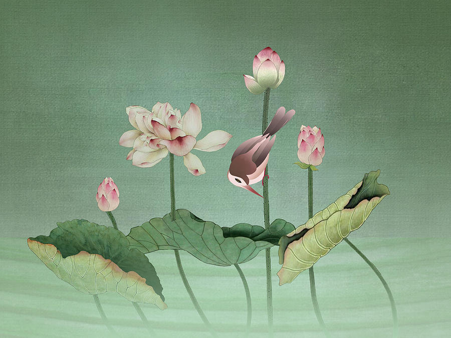 Sacred Lotus Flower Digital Art by M Spadecaller