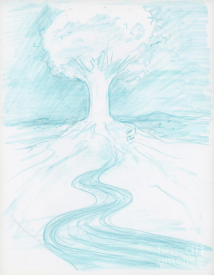 Sacred Tree River Drawing by Brandy Woods