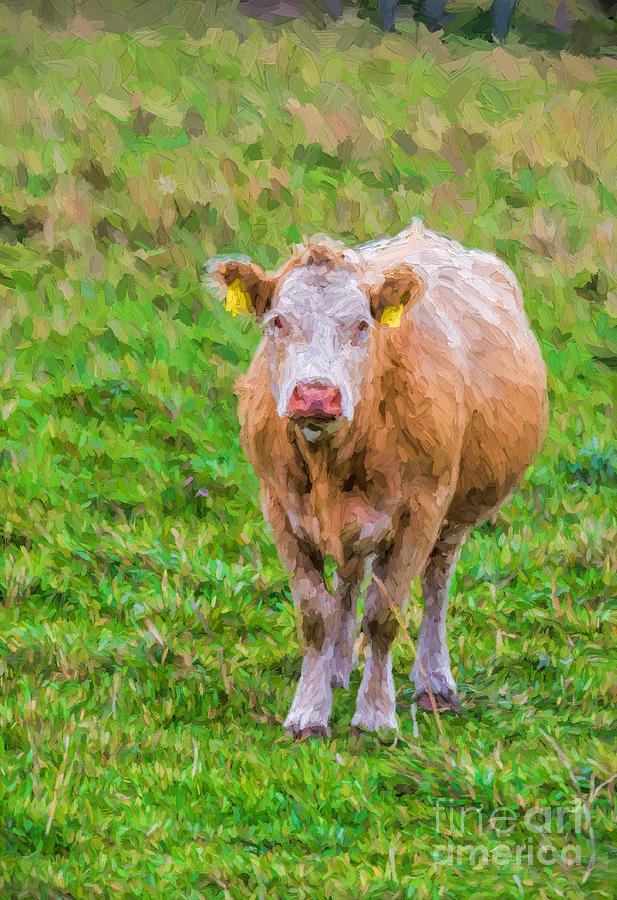 Sad Cow - painterly Photograph by Les Palenik