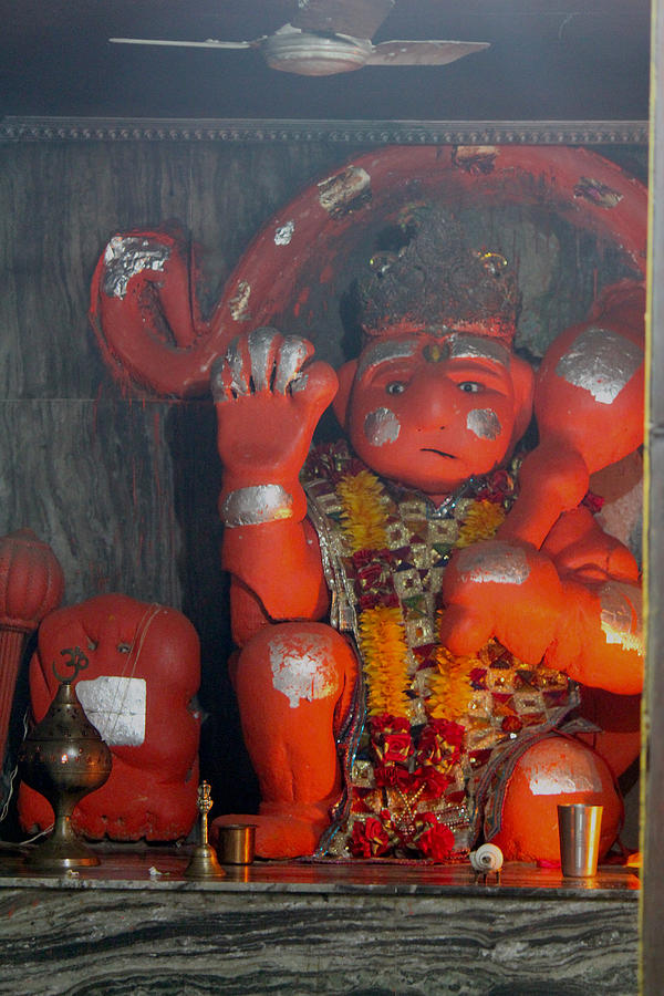 Sad Hanuman, Vrindavan Photograph by Jennifer Mazzucco