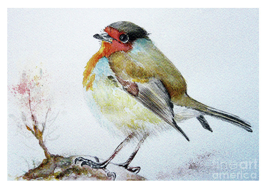 Sad robin Painting by Jasna Dragun