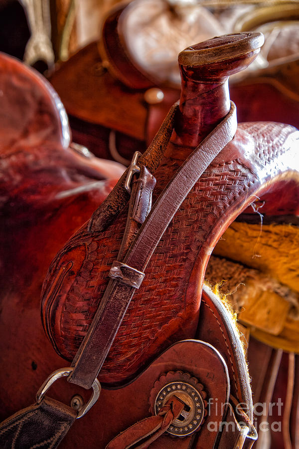 Saddle in tack room Photograph by Inge Johnsson
