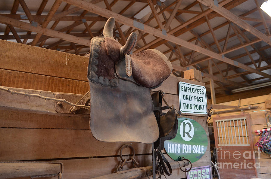 Saddle Storage - Hanging in the Barn Photograph by Jason Freedman