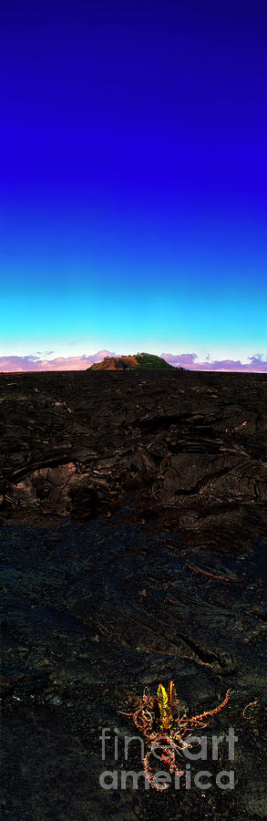 Saddle Road Humuula Lava field big island Hawaii  Photograph by Tom Jelen