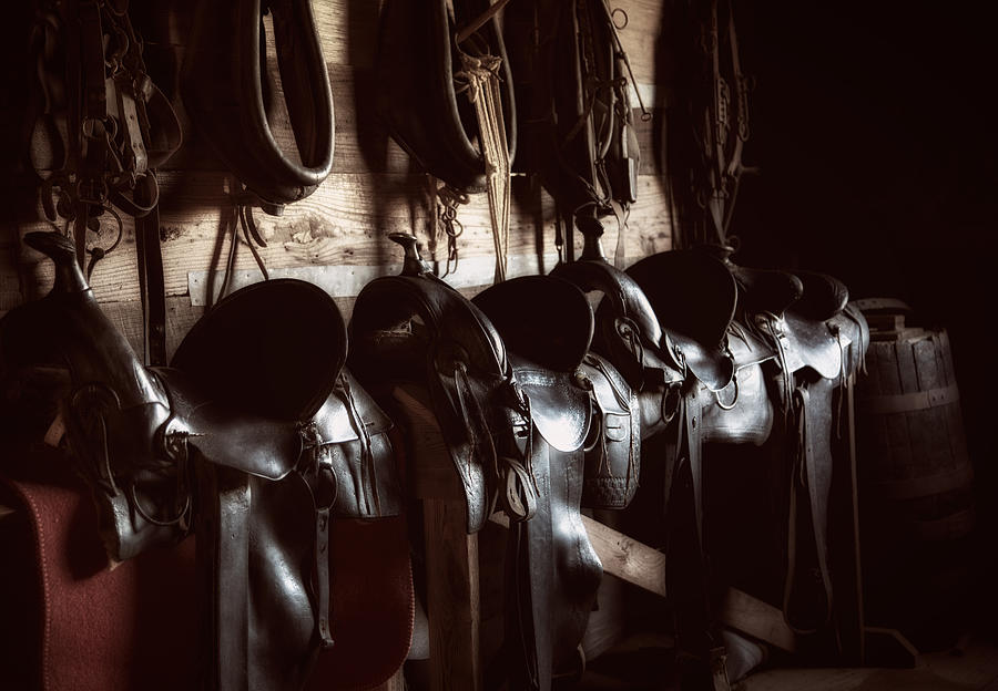 Saddle Row Photograph by Levin Rodriguez