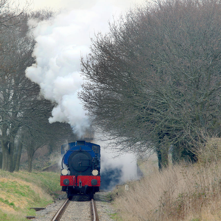 Saddle-tank locomotive puffing uphill Photograph by Tony Mills