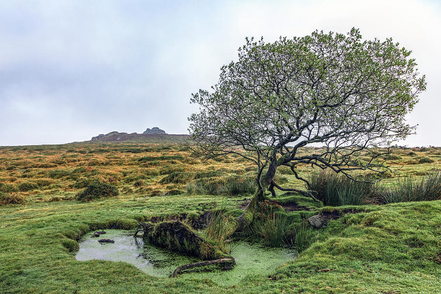 Nature Photograph - Saddle Tor - Dartmoor by Joana Kruse
