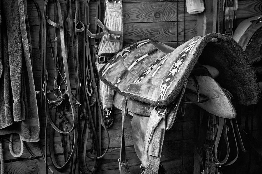 Saddle Up Photograph by Steven Clark