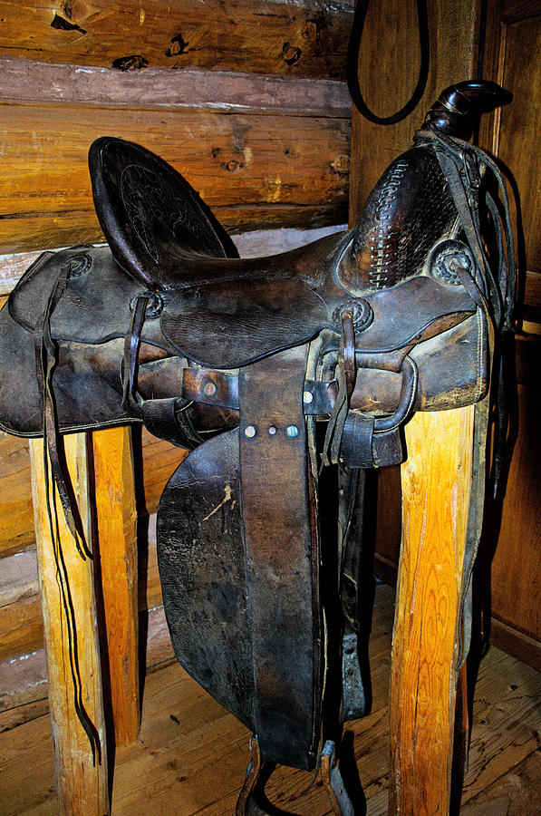 Saddle Up Photograph by Tikvahs Hope