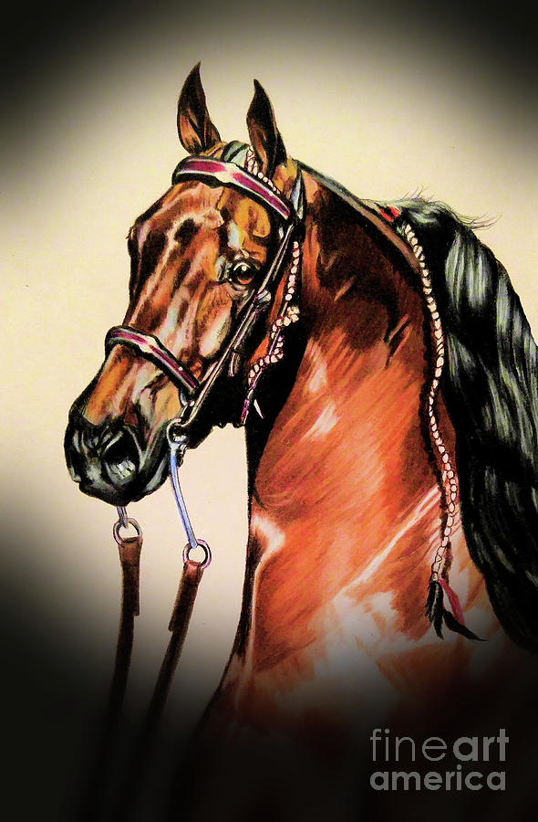 Horse Drawing - Saddlebreds by Cheryl Poland