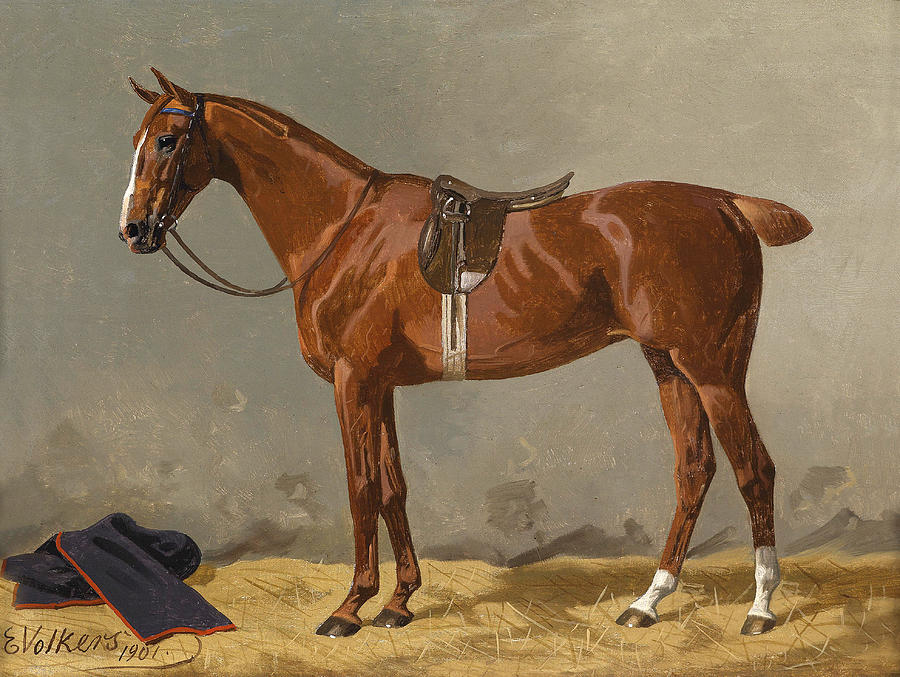 Saddled Sport Horse 1 Painting by Emil Volkers