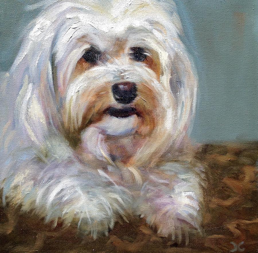 Sadie Painting by Cynthia Mozingo Sadie Painting by Cynthia Mozingo