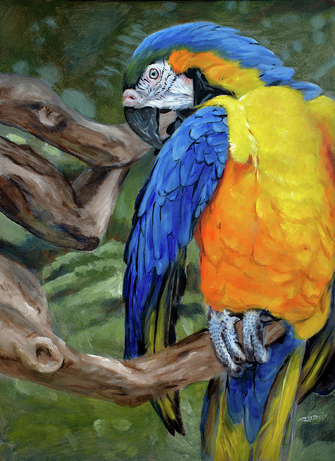 Safari Parrot Painting by Christopher Reid