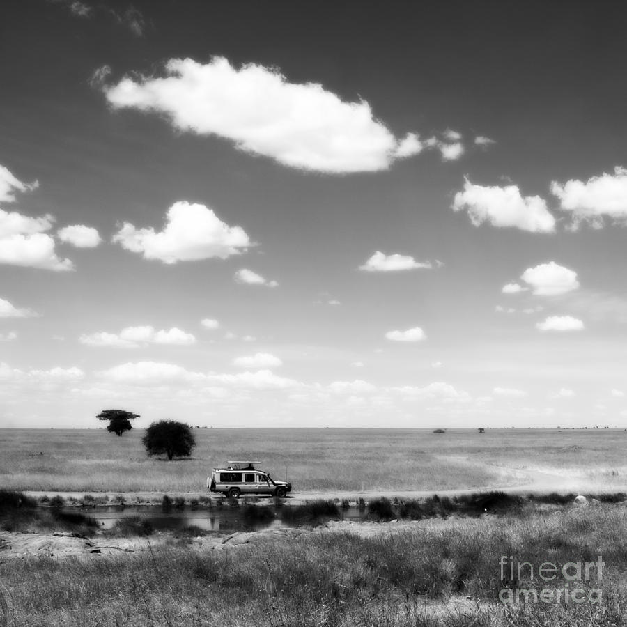 Black And White Photograph - Safari Sky by Chris Scroggins