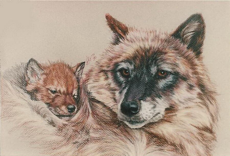 Safe and Warm Drawing by Barbara Keith