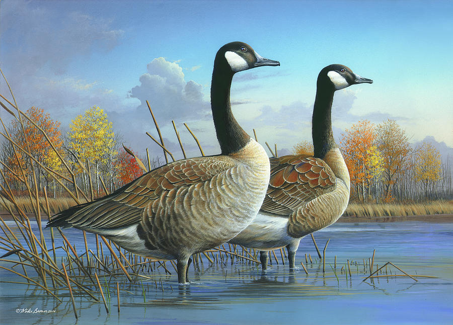 Goose Painting - Safe from Harm by Mike Brown