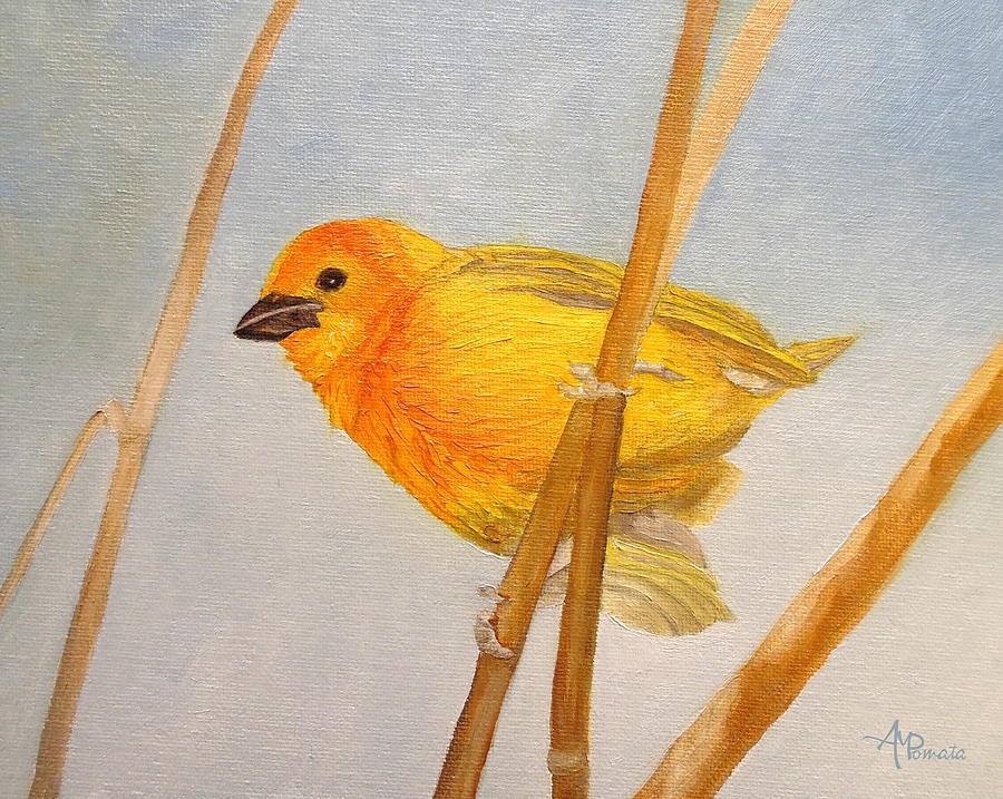 Saffron Finch Painting by Angeles M Pomata