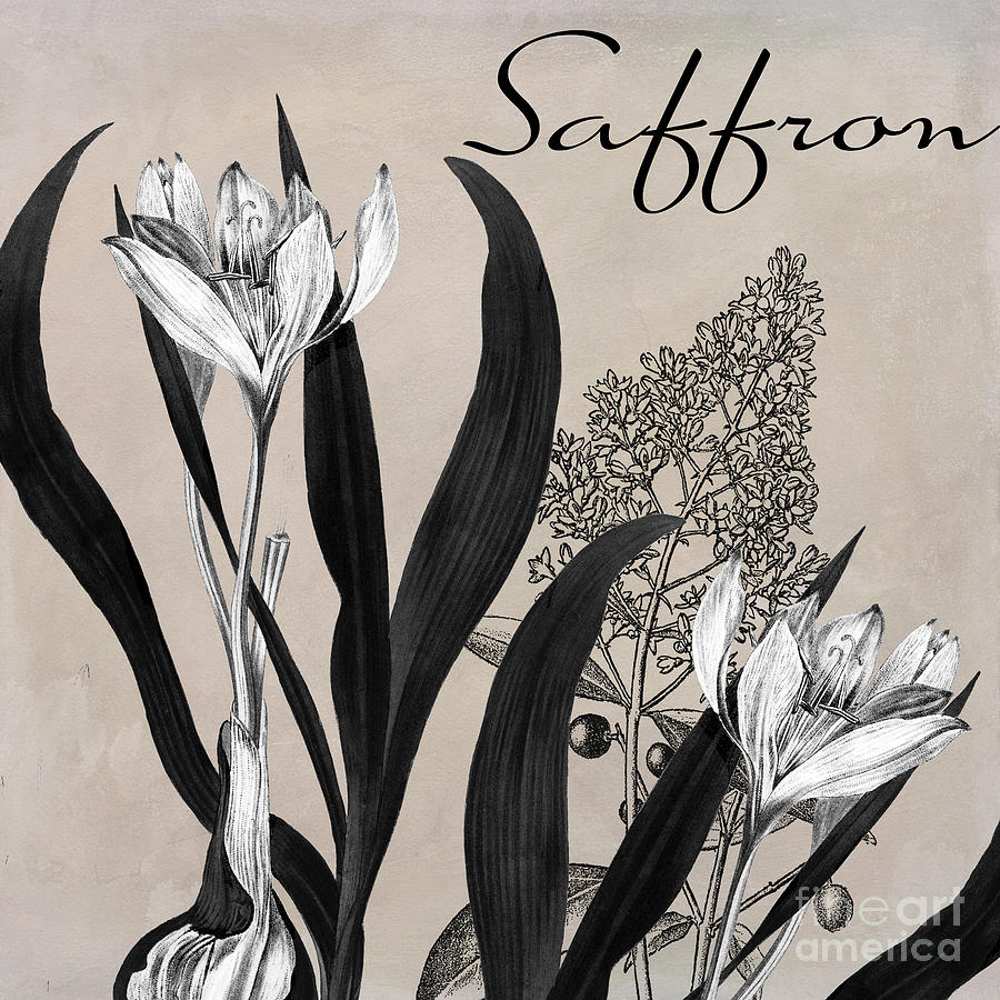 Black And White Painting - Saffron Flowering Herb by Mindy Sommers