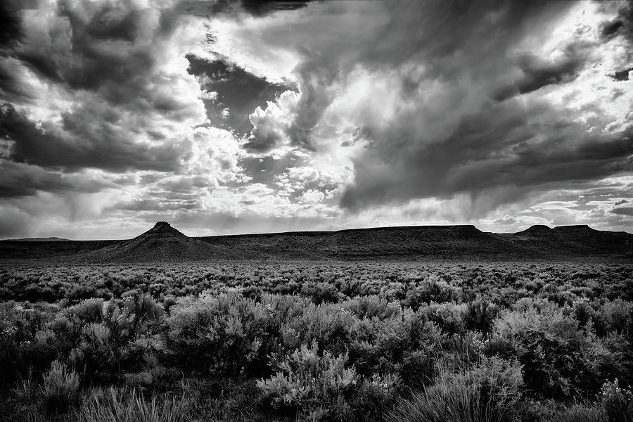 Sage and Clouds Photograph by Steven Clark