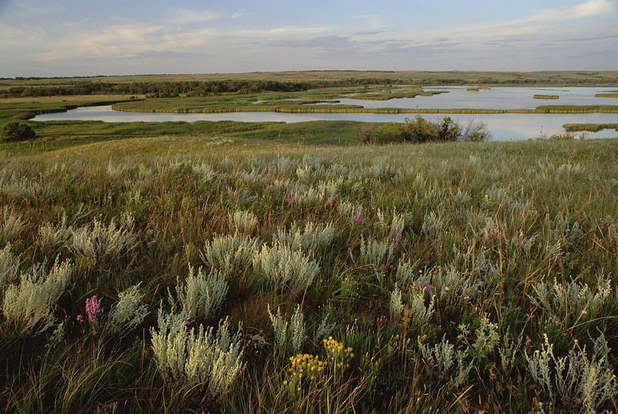 Sage Prairie And Marsh In Upper Souris Photograph by Gerry Ellis