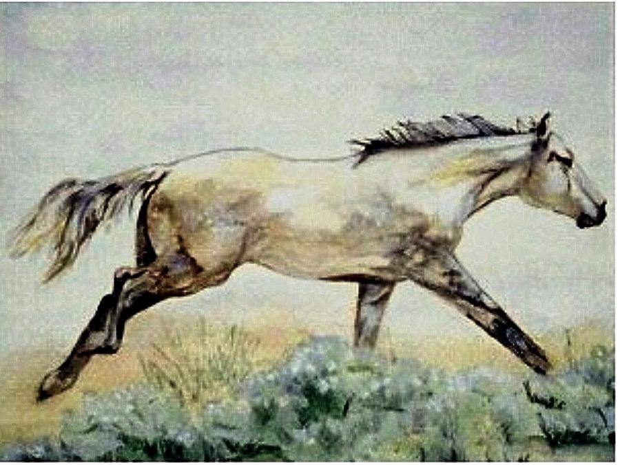 Quarter Horse Painting - Sage Runner by Debra Sandstrom Quarter Horse Painting - Sage Runner by Debra Sandstrom
