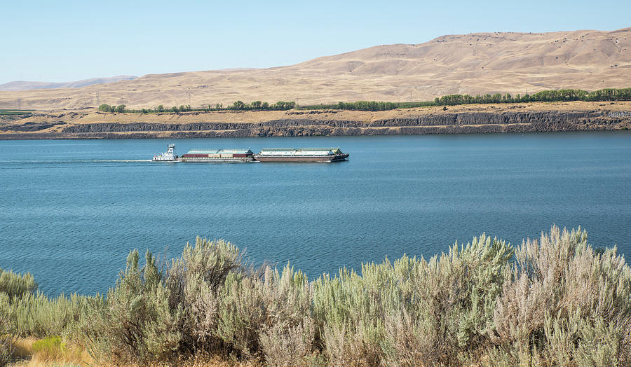 Sagebrush and Barges Photograph by Tom Cochran