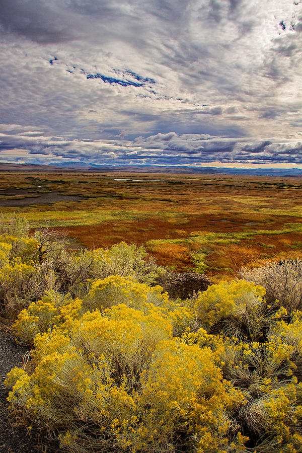 Sagebrush country Photograph by Kunal Mehra