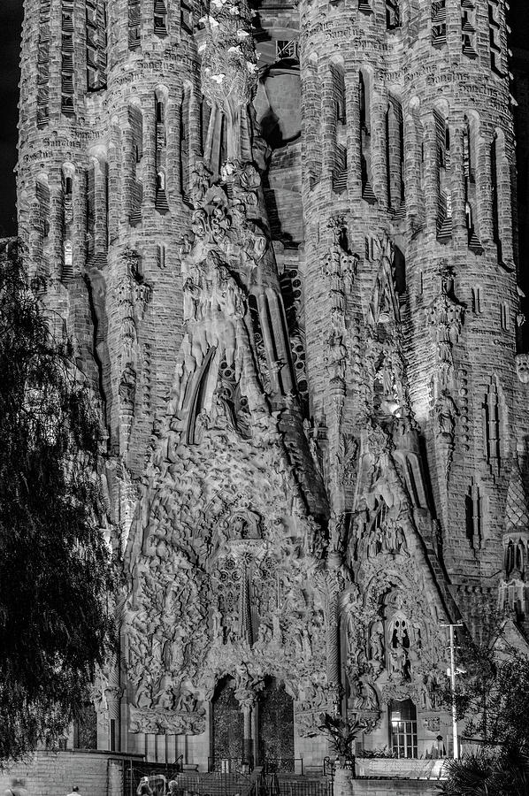 Sagrada Familia - Barcelona Photograph by Georgia Clare