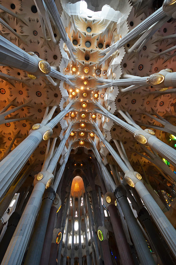 Sagrada Familia Ceiling wide angle Barcelona Spain Photograph by Toby McGuire