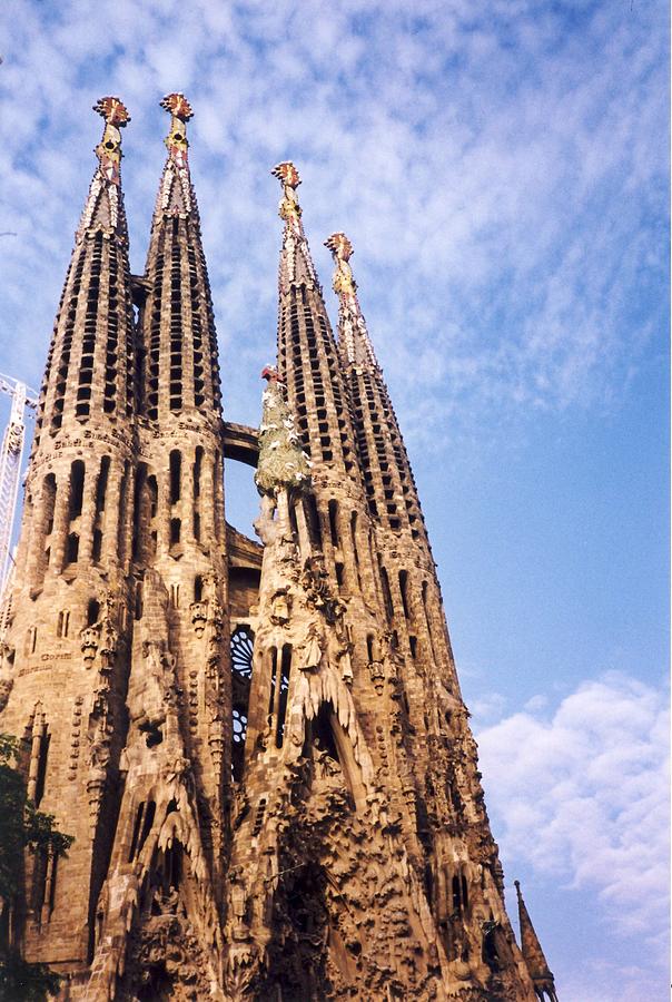Sagrada Familia Photograph by Sandy Taylor