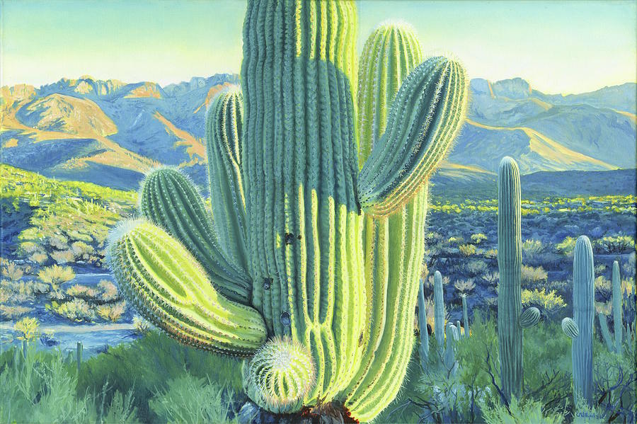 Saguaro 1 Painting by Charles Willyard - Fine Art America