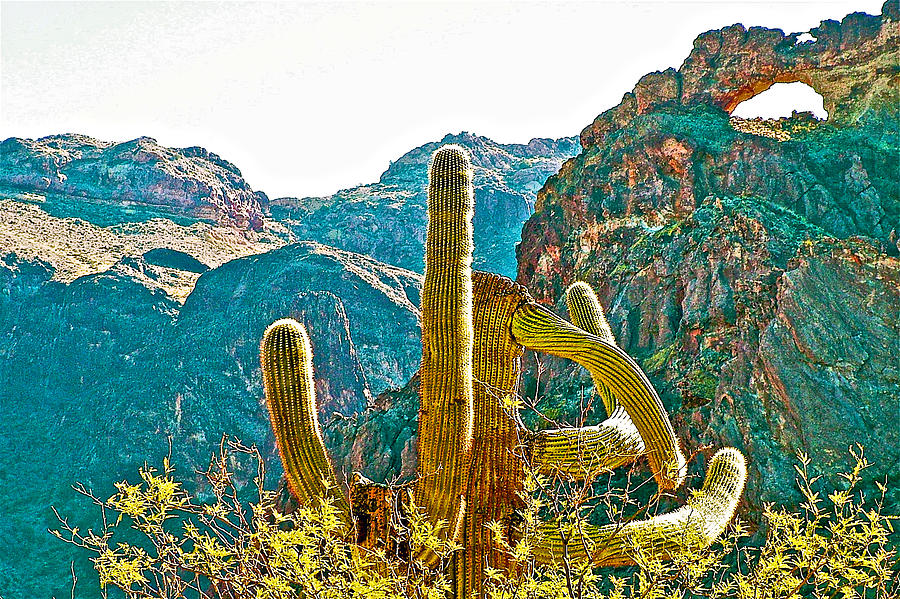 Saguaro and Arch on Arch Canyon Trail in Organ Pipe Cactus National Monument-Arizona   Photograph by Ruth Hager