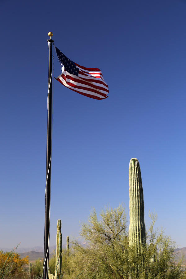 Saguaro and Flag Photograph by Mary Bedy