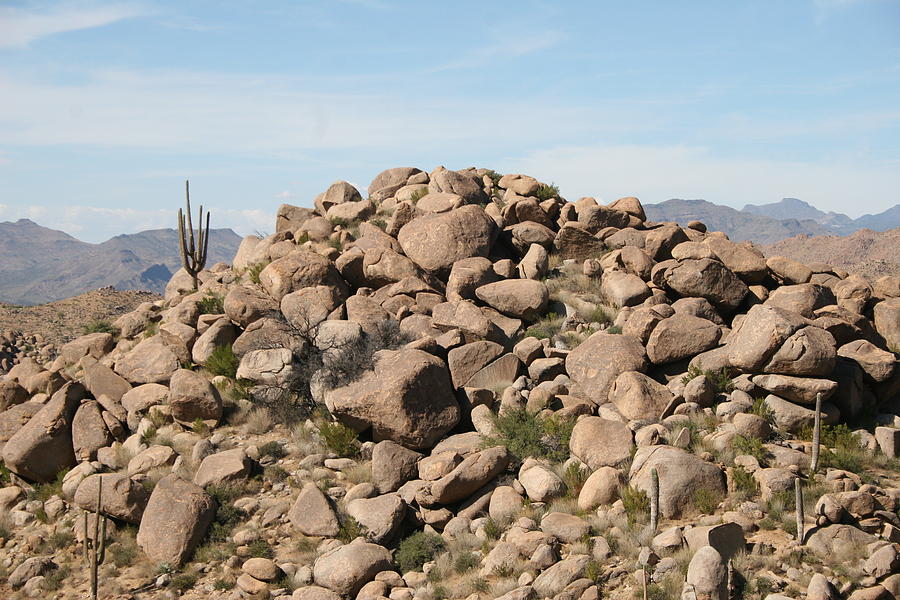 Saguaro And Granite Boulders Digital Art by Tom Janca