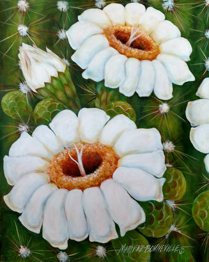 Saguaro Cactus Painting - Saguaro Blossoms by Marlene Bonneville