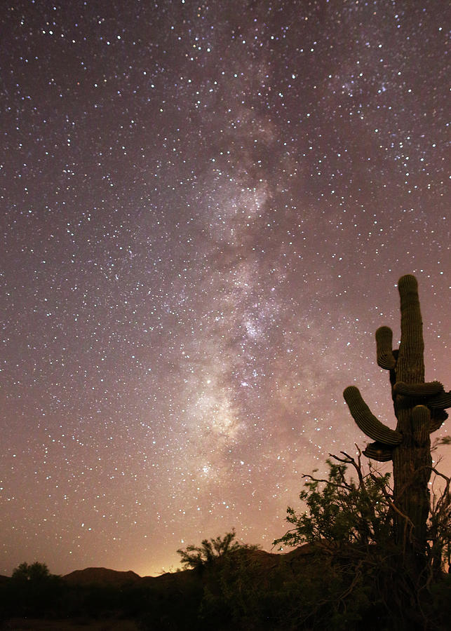 Saguaro Cactus and Milky Way Photograph by Jean Clark