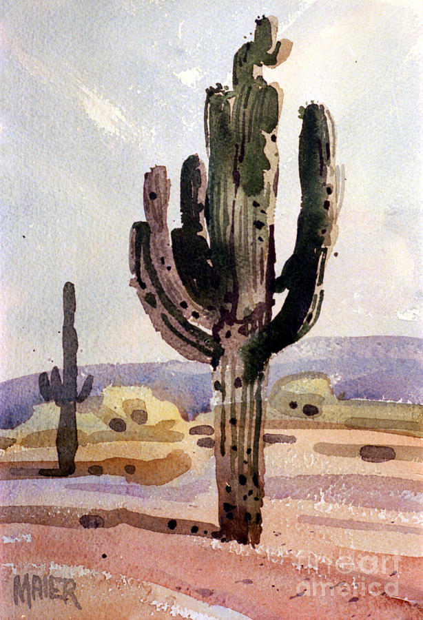 Saguaro Painting - Saguaro Cactus by Donald Maier