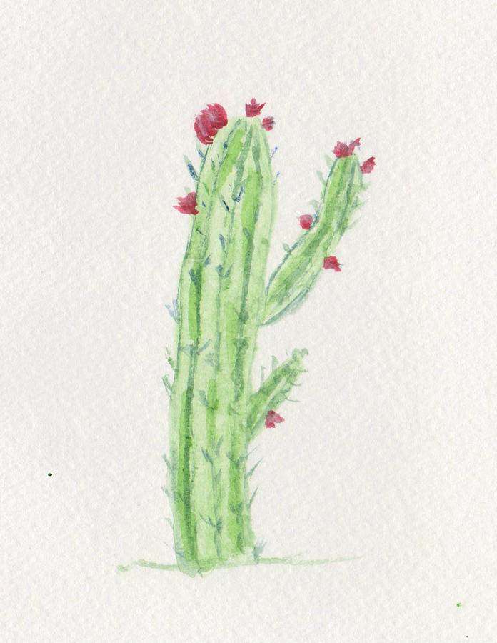 saguaro cactus red flower