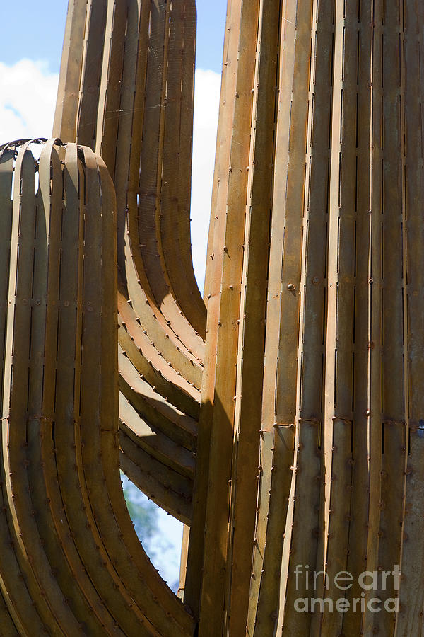 Saguaro Cactus in Steel Photograph by Tim Hightower