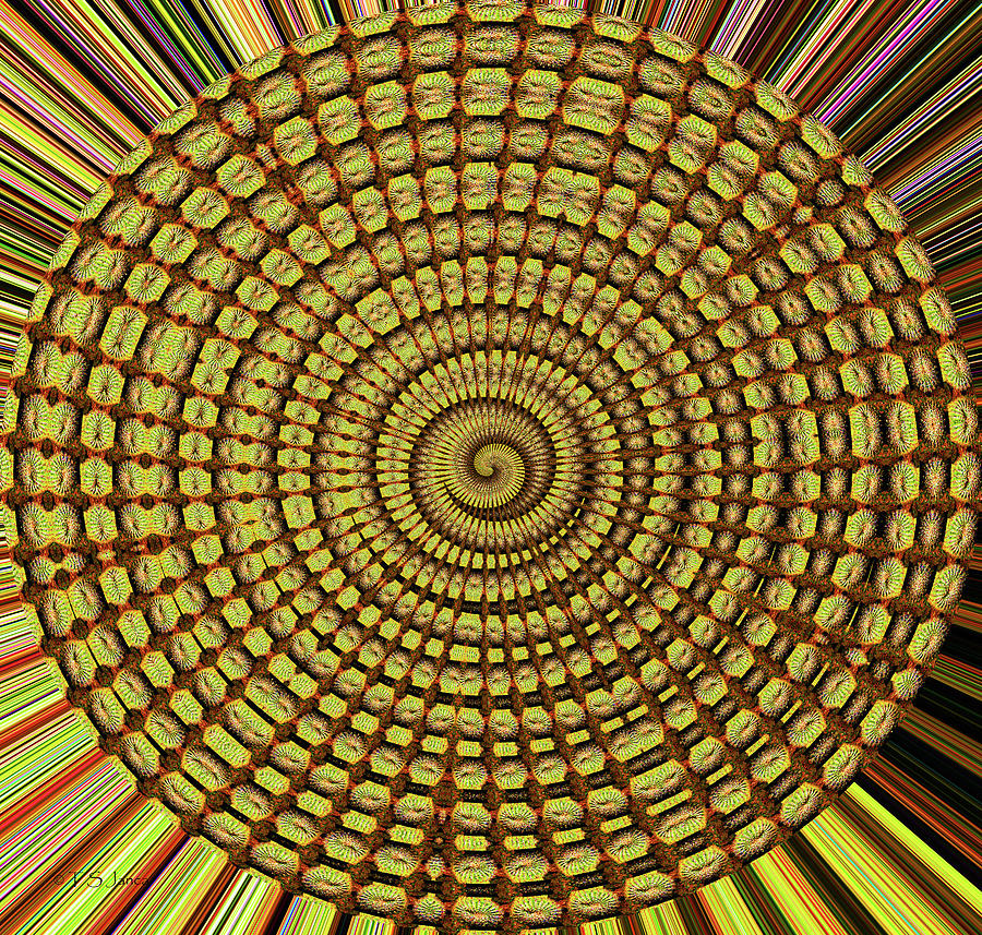 Saguaro Cactus Top Abstract #4 Digital Art by Tom Janca