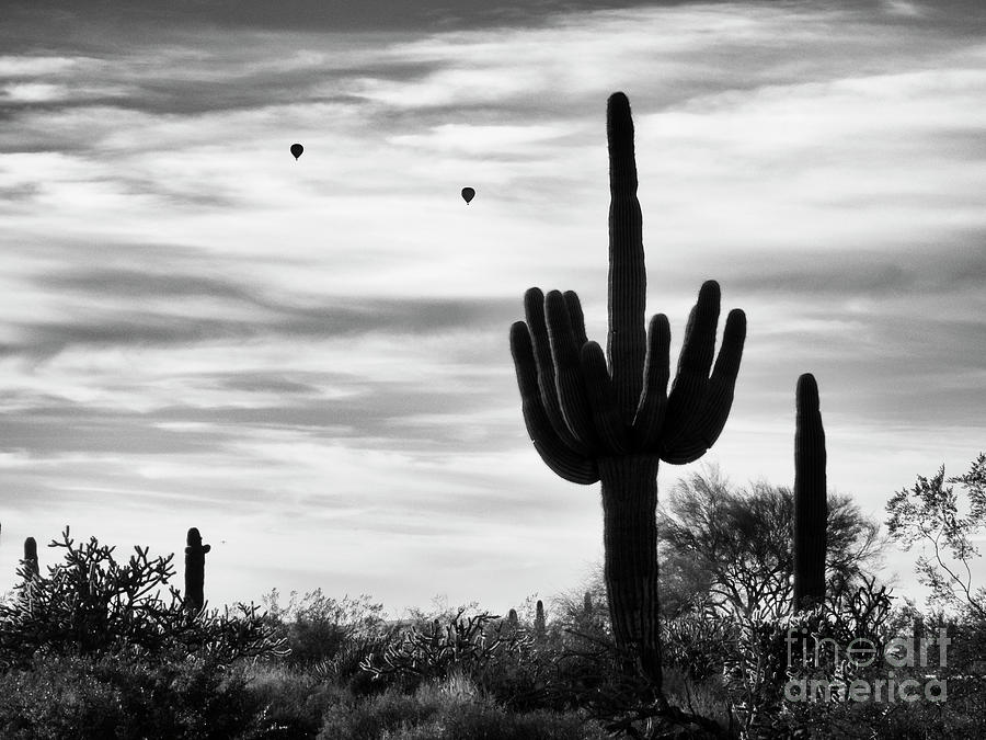 Saguaro Cactus with Hot Air Balloons Photograph by Tamara Becker